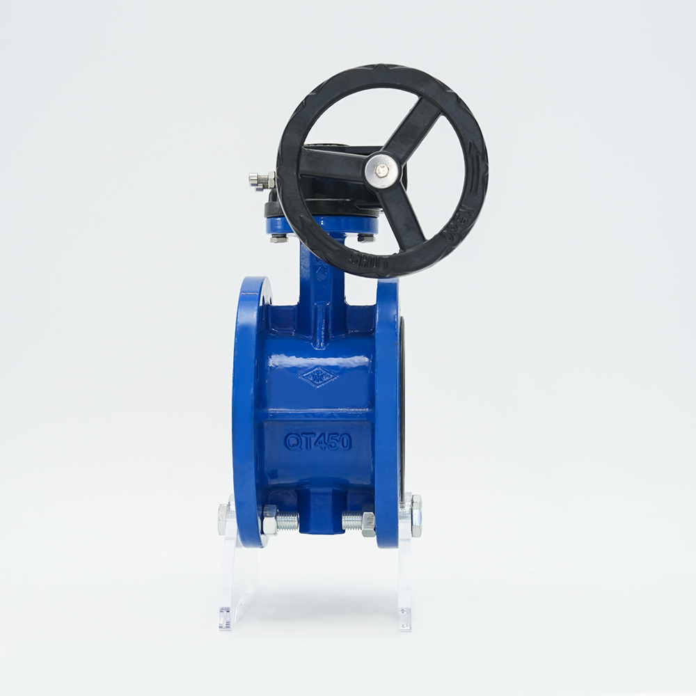 Comhla Féileacán Flange Tuirbín D341X-16Q