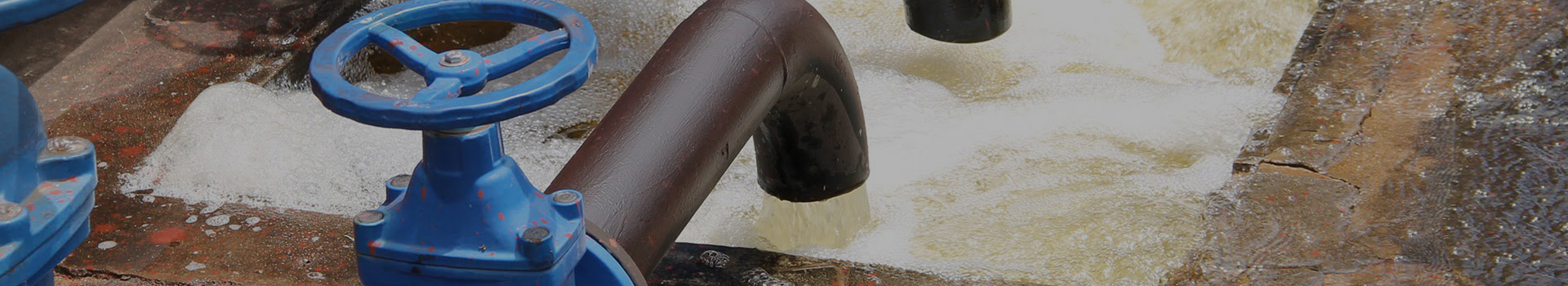 Changshui Technology Group Co., Teo.