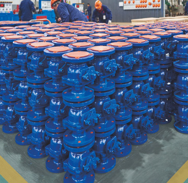 Changshui Technology Group Co., Teo.